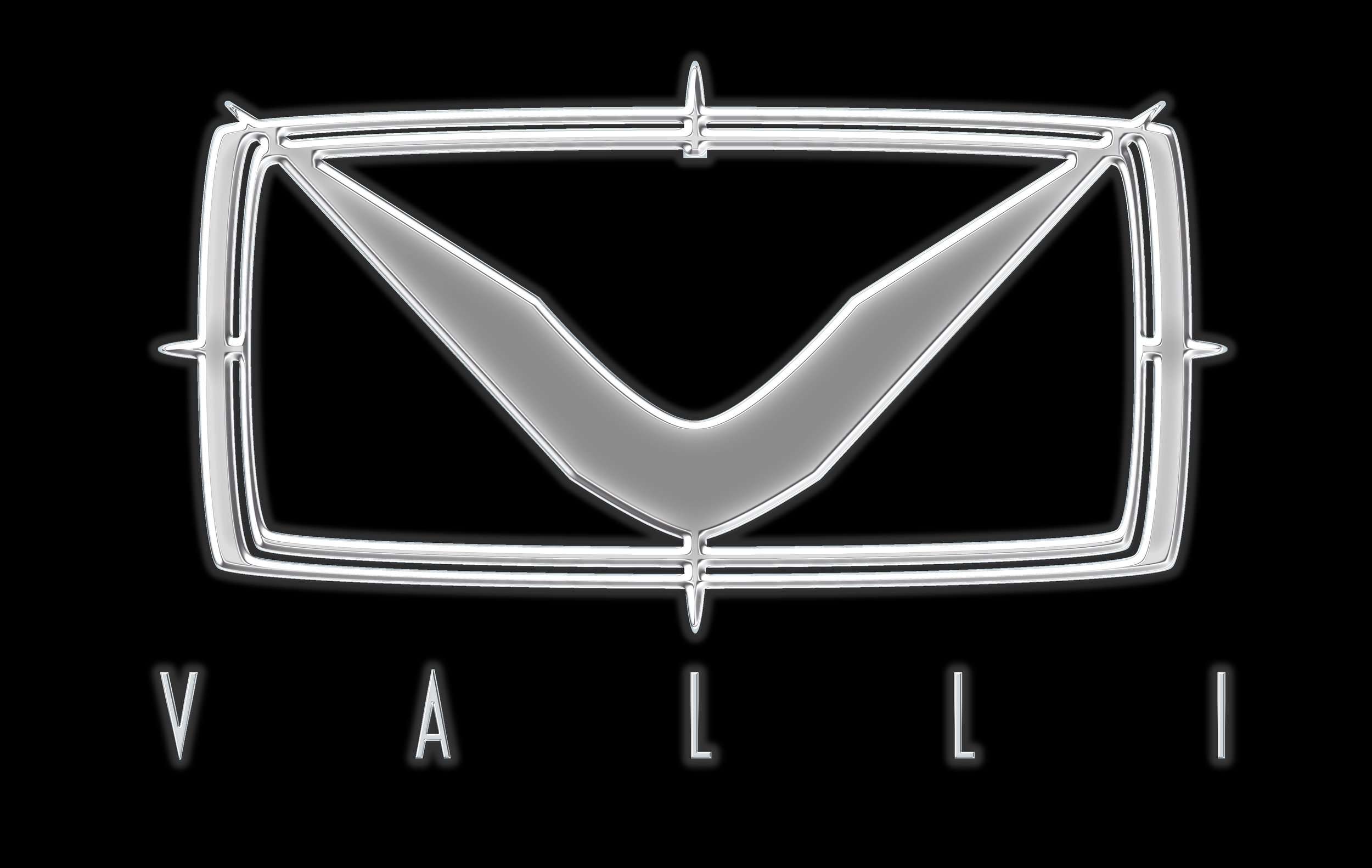 VALLI Logo 8421 × 5333 2,6 MB.jpeg