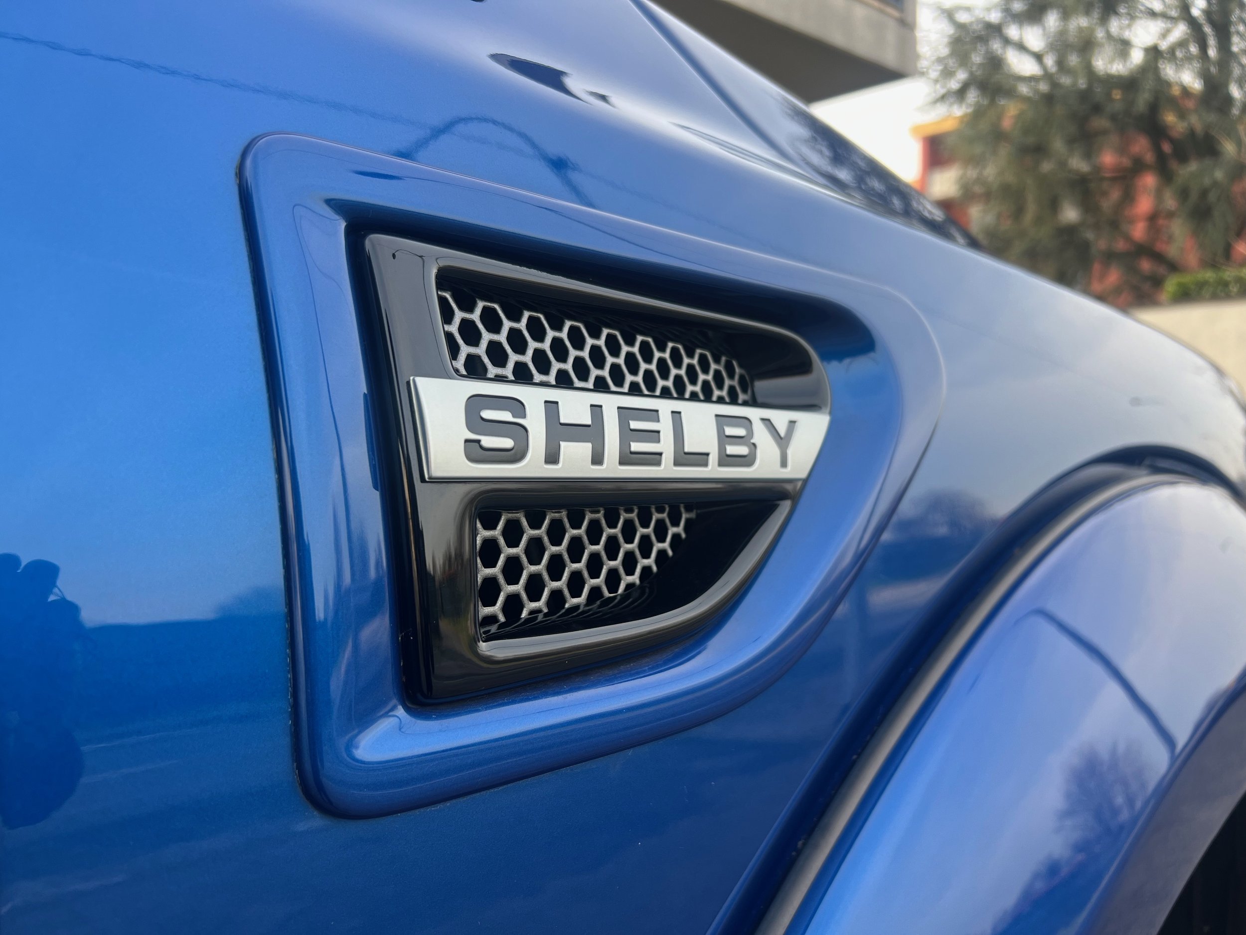 10 2019 F150 Shelby C.S.M. 18STX7134 Magni & Carnevale Motors.jpeg