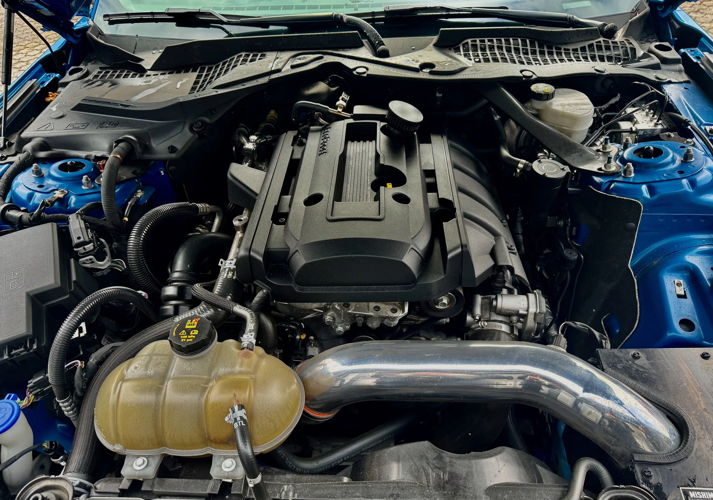 14 2020 Mustang Fastback Coupè 2.3L Fastback (2) Luca Pasqualetto.jpeg