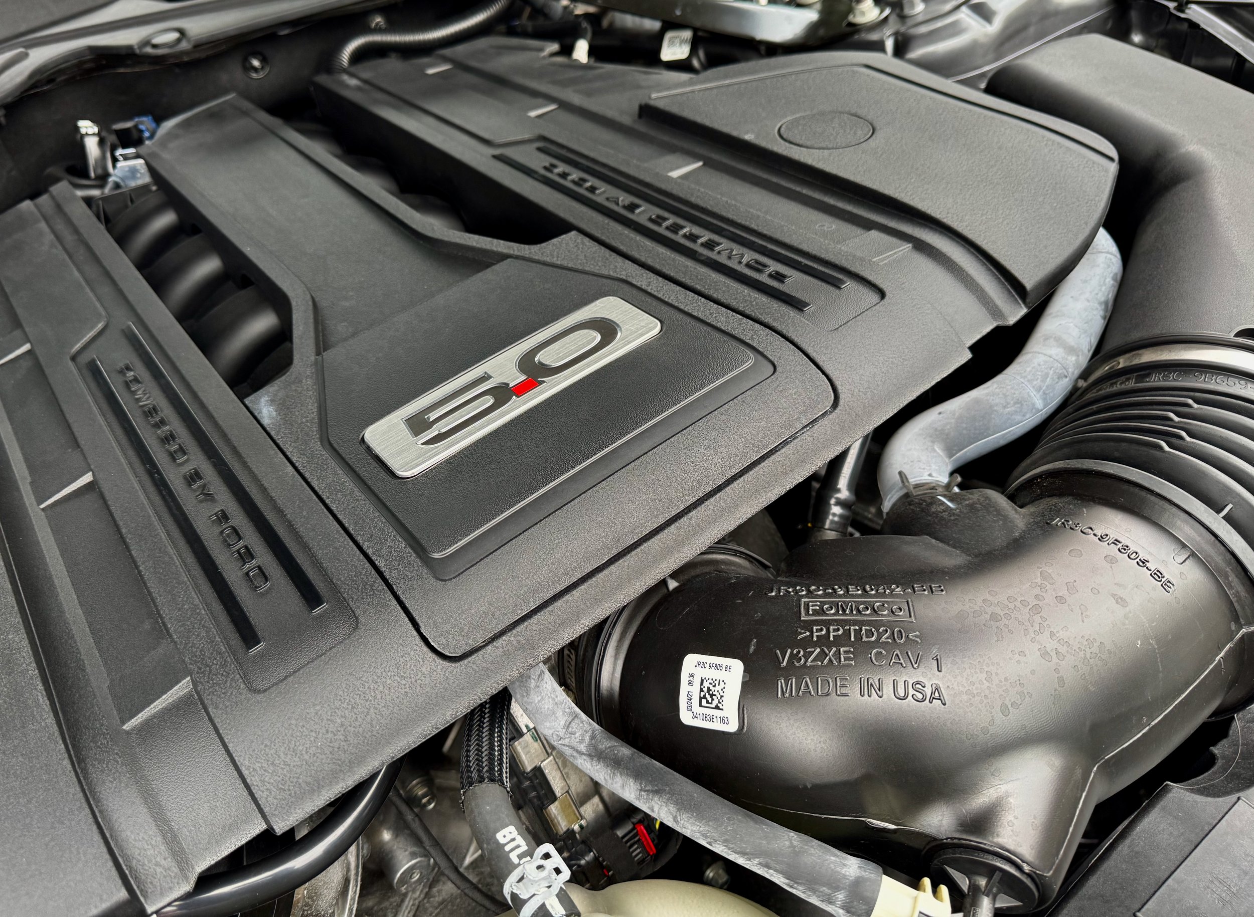 15 2021 Mustang GT Fastback Coupè Auto1.jpeg