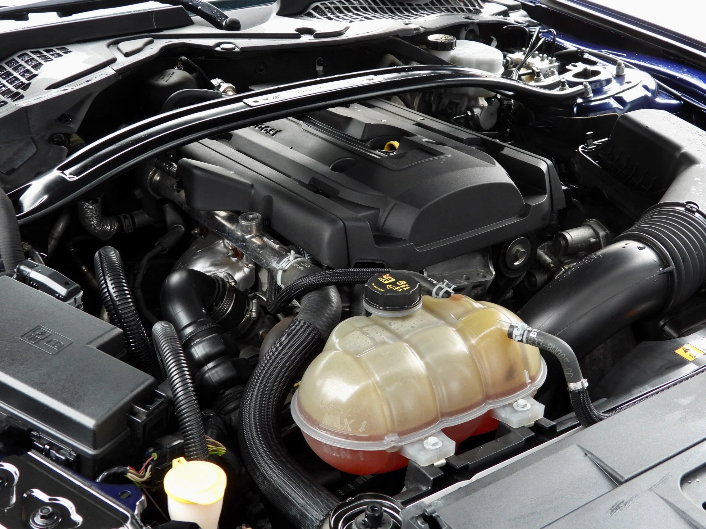 13 2018 Mustang Fastaback Coupè 2.3L Cambio Manuale Angelo Torriani.jpeg