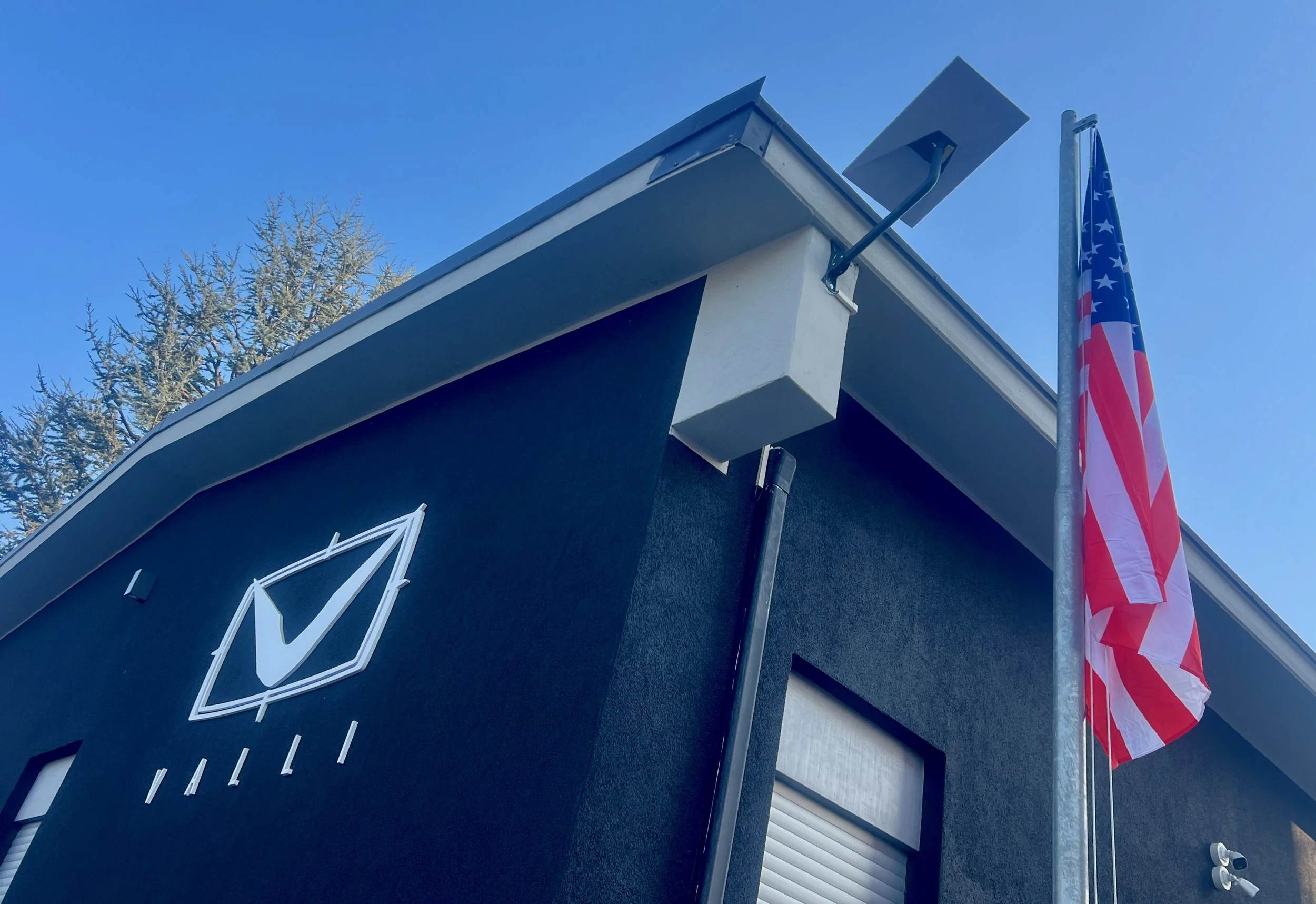 000C VALLI - The Black Gate- selezione.jpeg