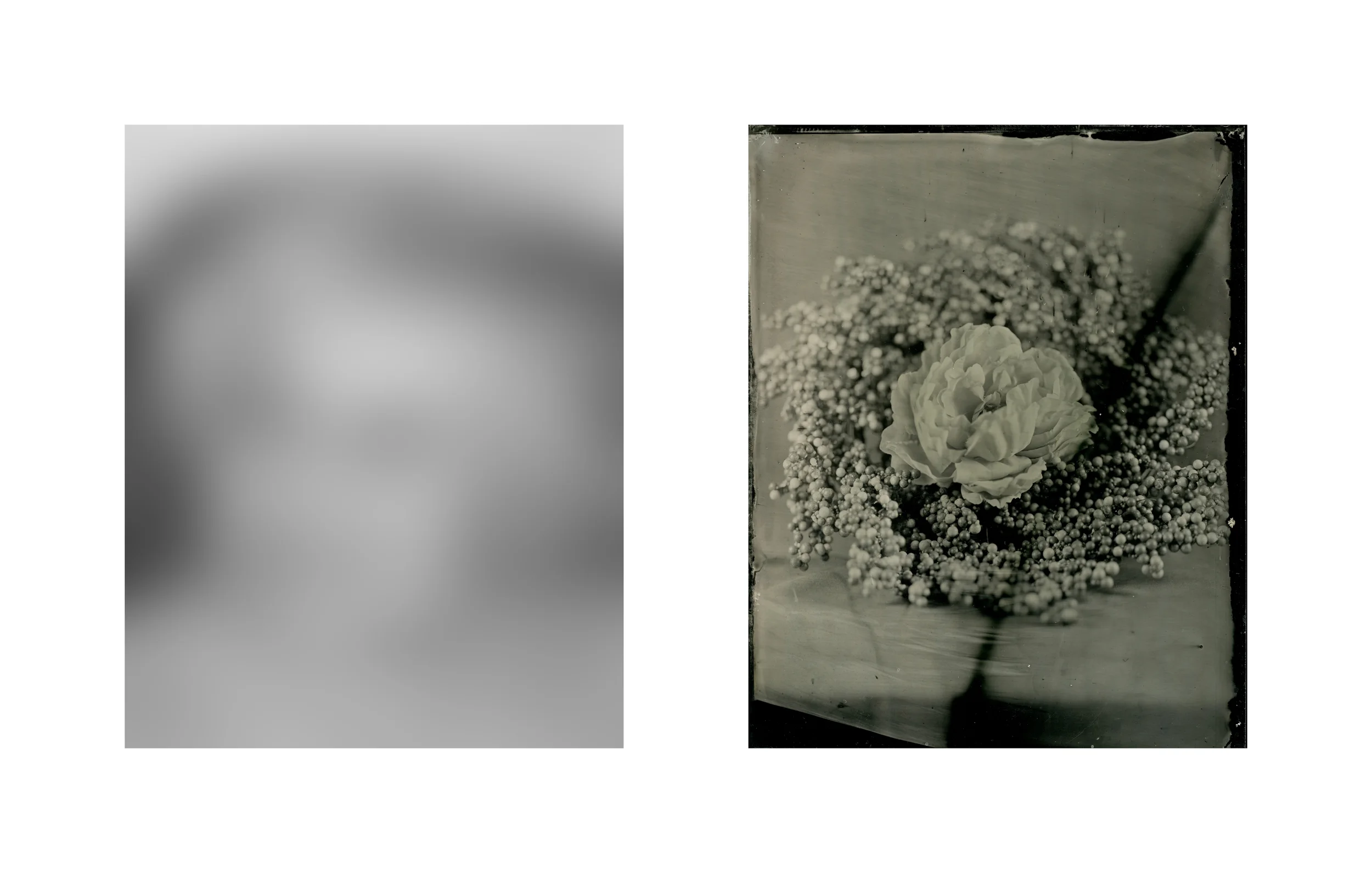 Daniel Duarte - That Which Remains - Antanina.jpg