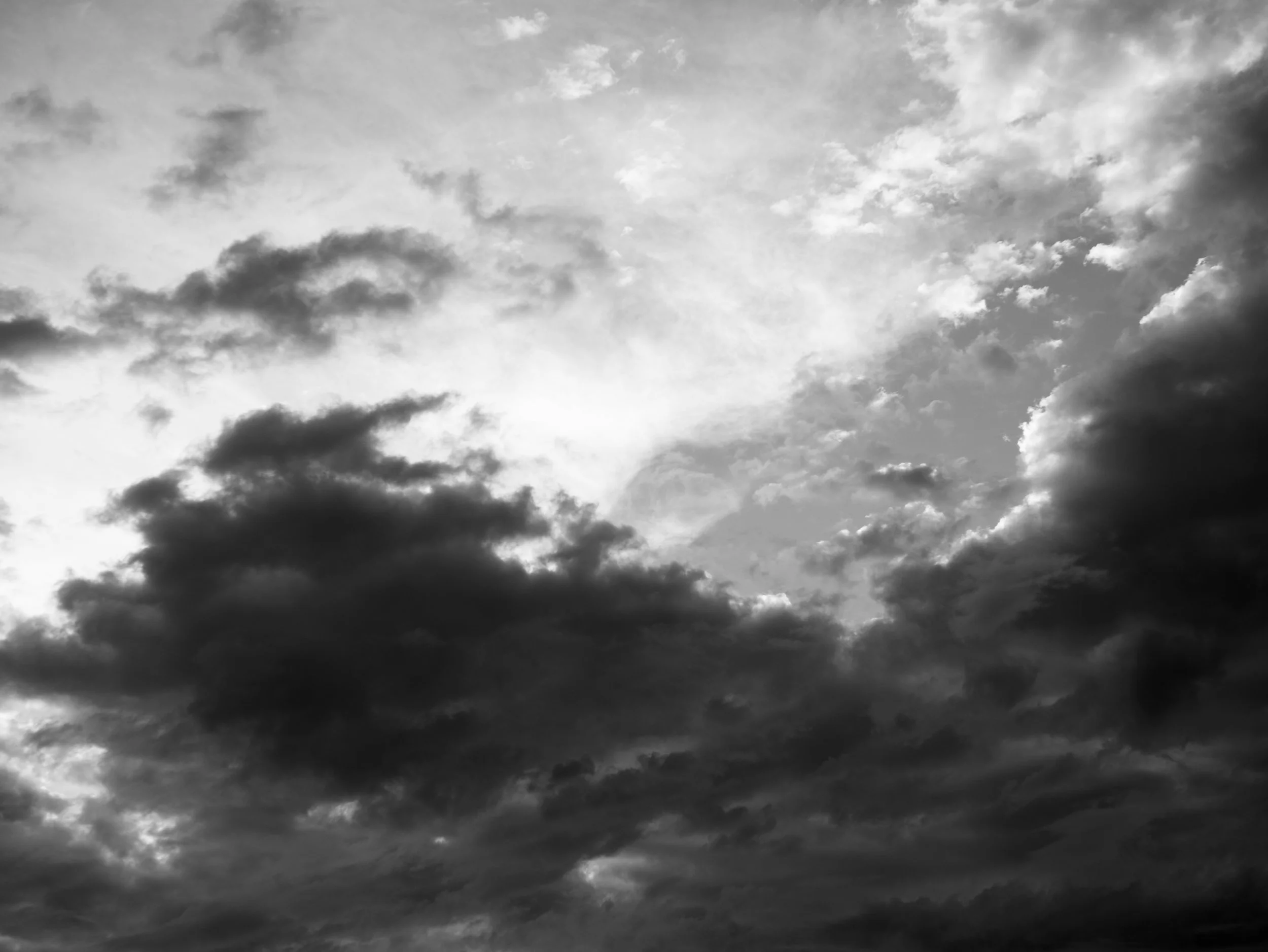 L1000823.jpg