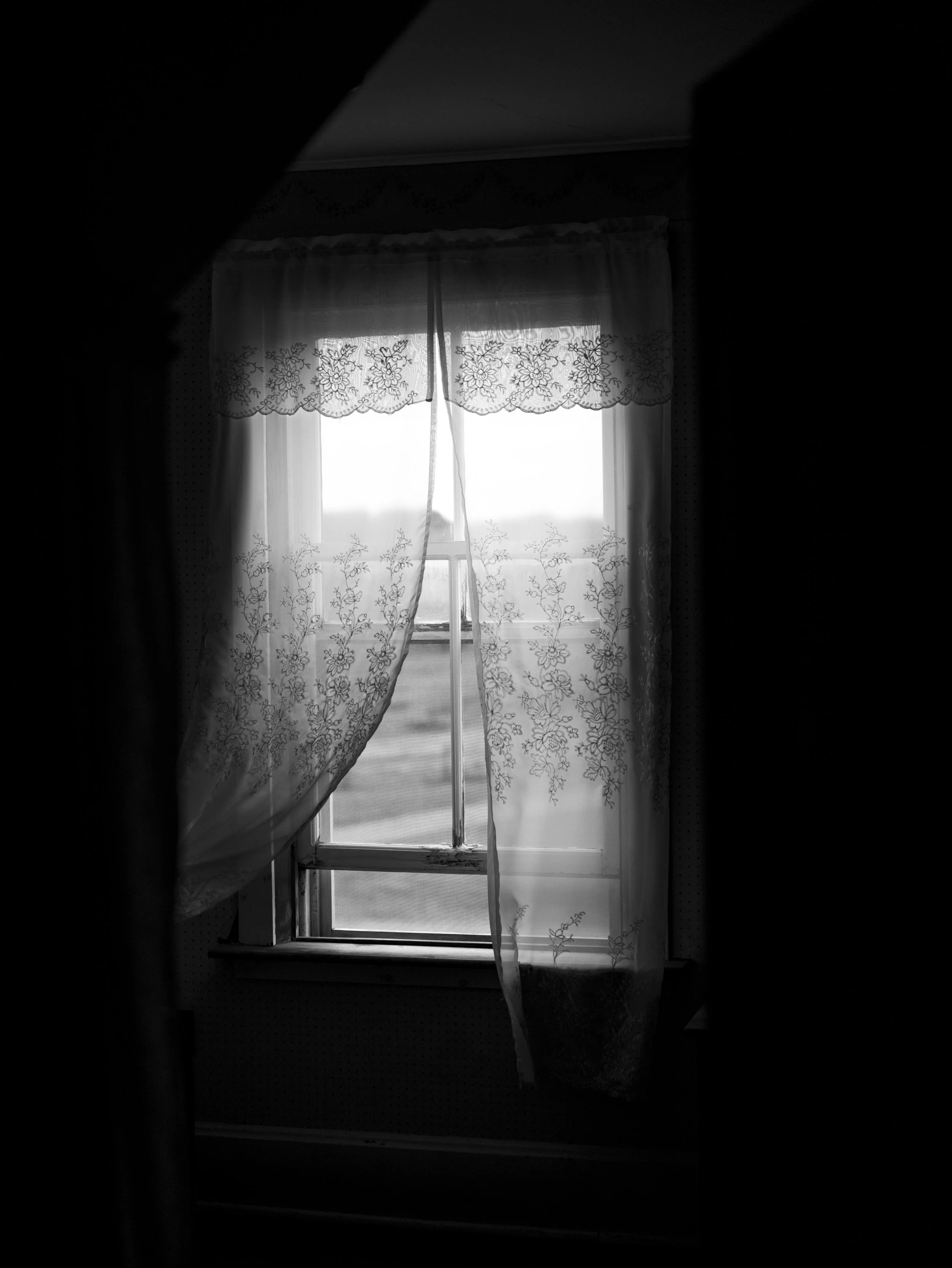 L1000852.jpg