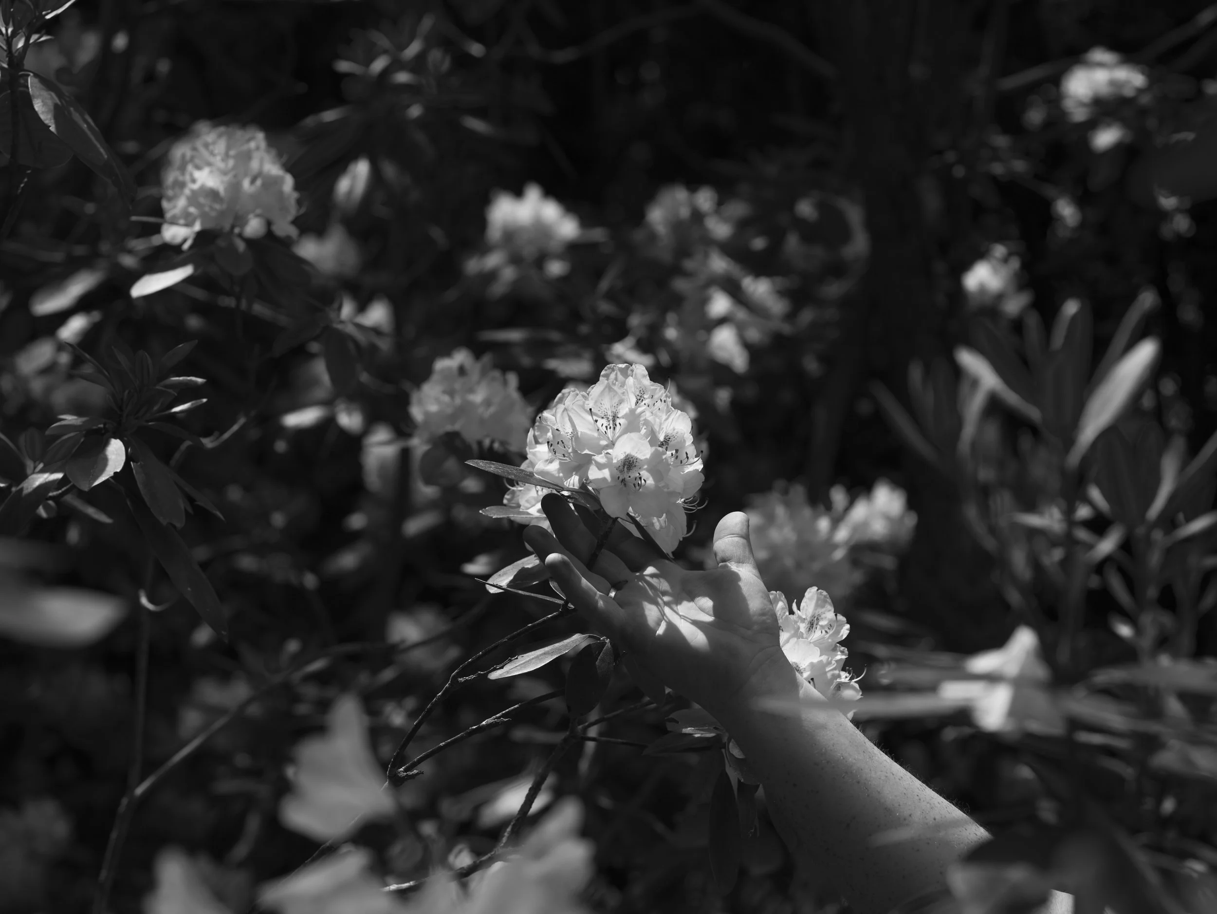 L1000392-Edit.jpg