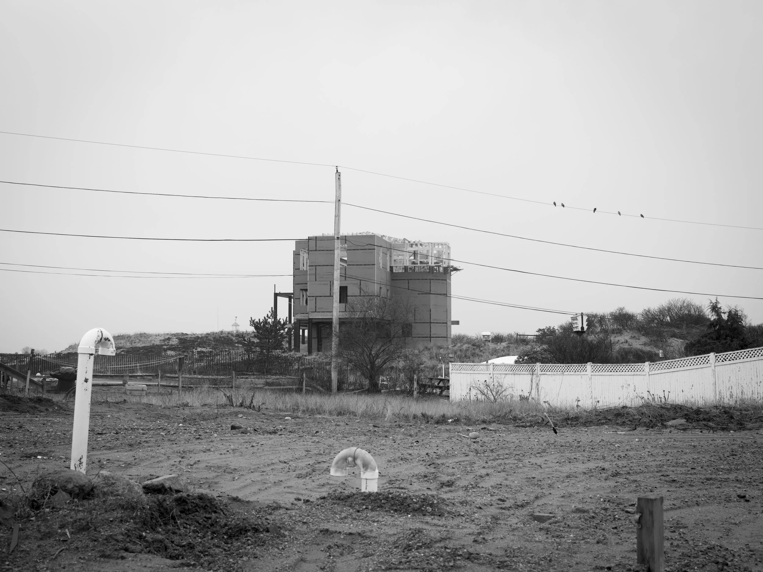 _IMG0445.jpg