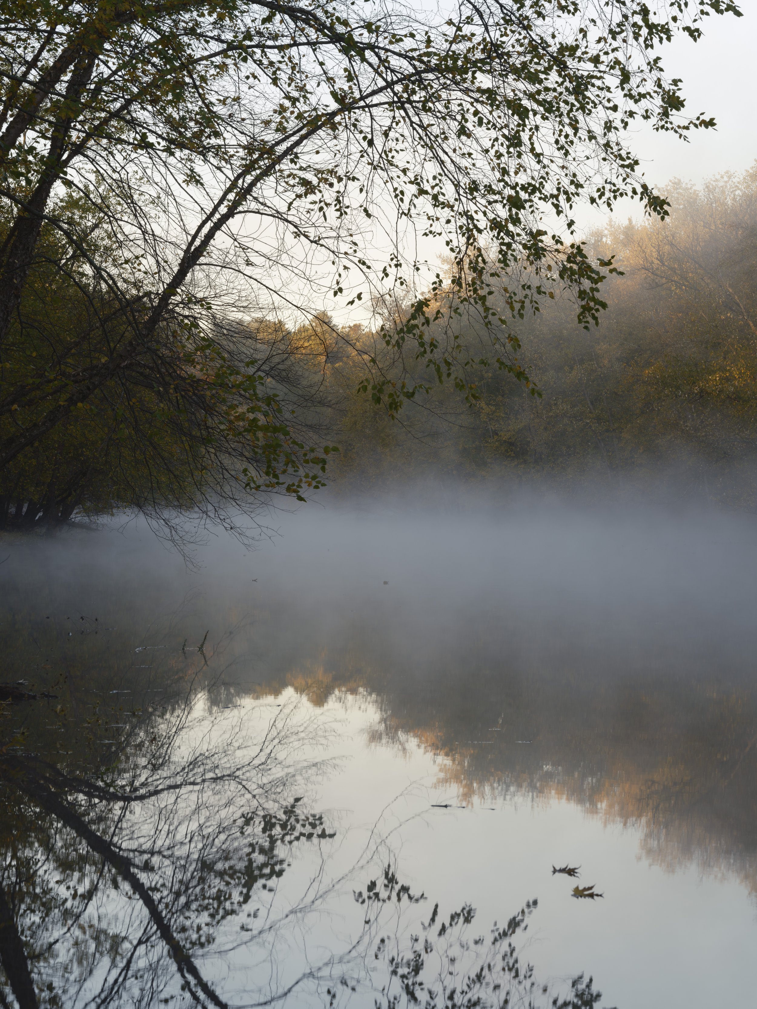 Concord River Oct 20-1-5.jpg