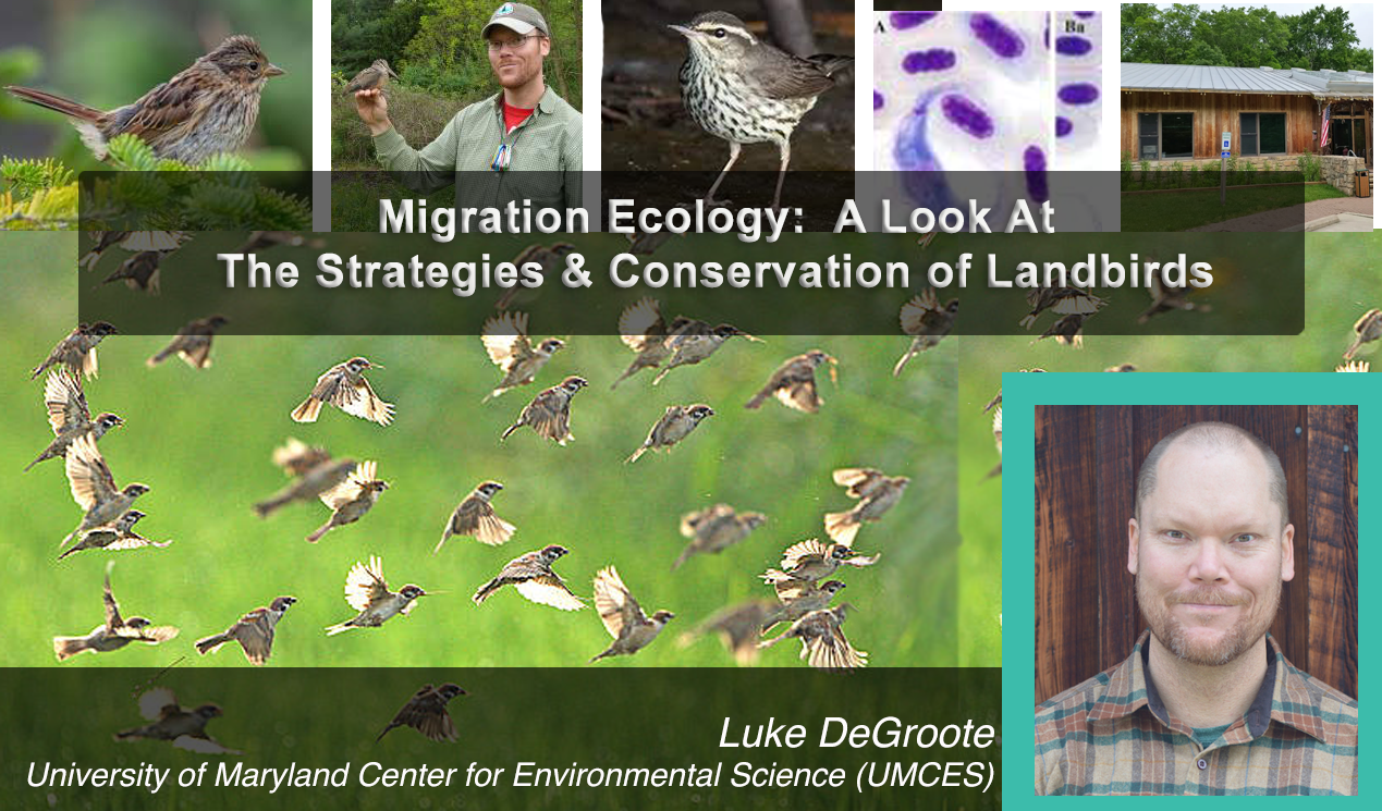 LukrDeGroote_December2025 Feature.png