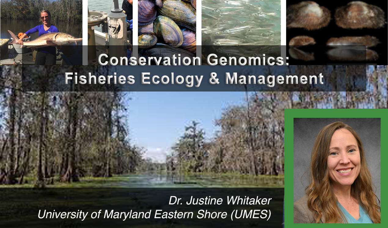 JustineWhitaker_December2025 Feature.png