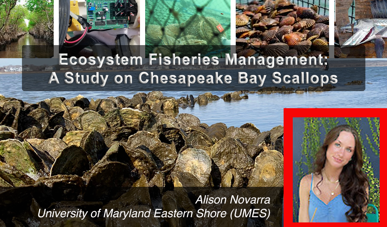 AlisonNovarra_December2025 Feature.png