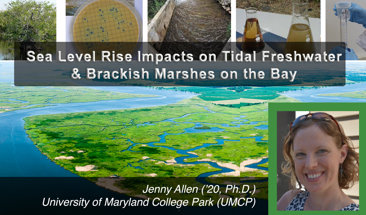 JennyAllen_December2025 Feature.png