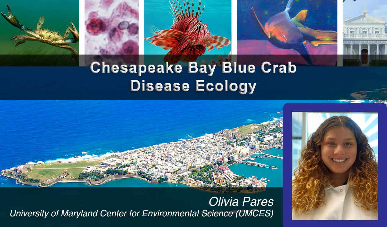 OliviaPares_Jan2026 Feature.png