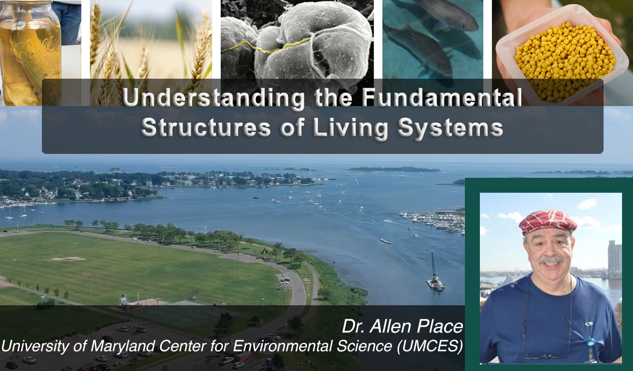 AllenPlace_January2026 Feature.png