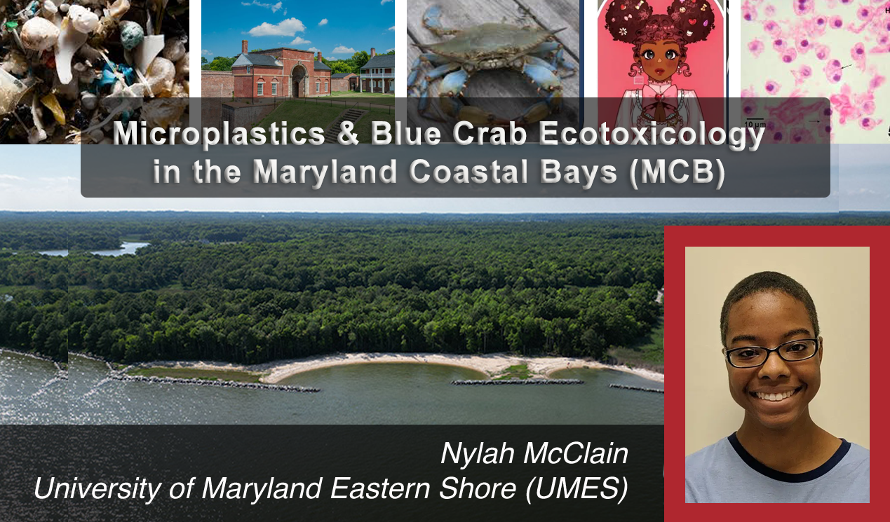 NylahMcClain_February2026 Feature.png