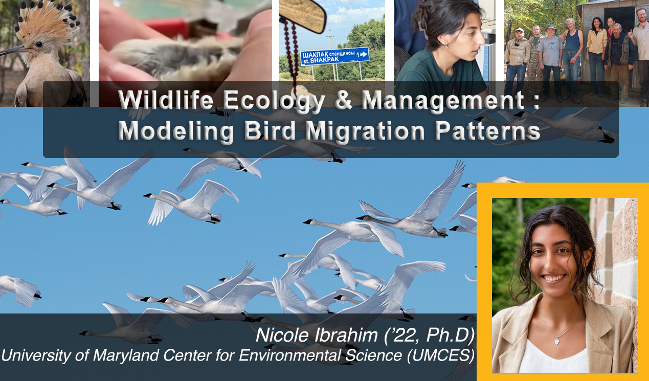 NicoleIbrahim_March2026 Feature.png