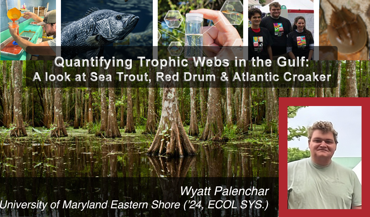 WyattPalenchar_April2026 Feature.png