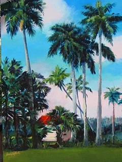 “Everglades Vista”