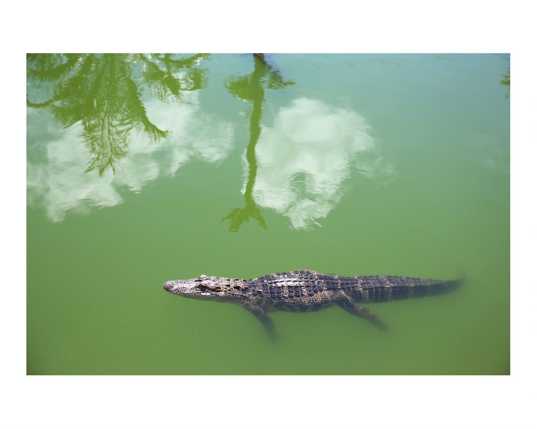 959E9D42-52B9-4693-9286-0BC5571F0303