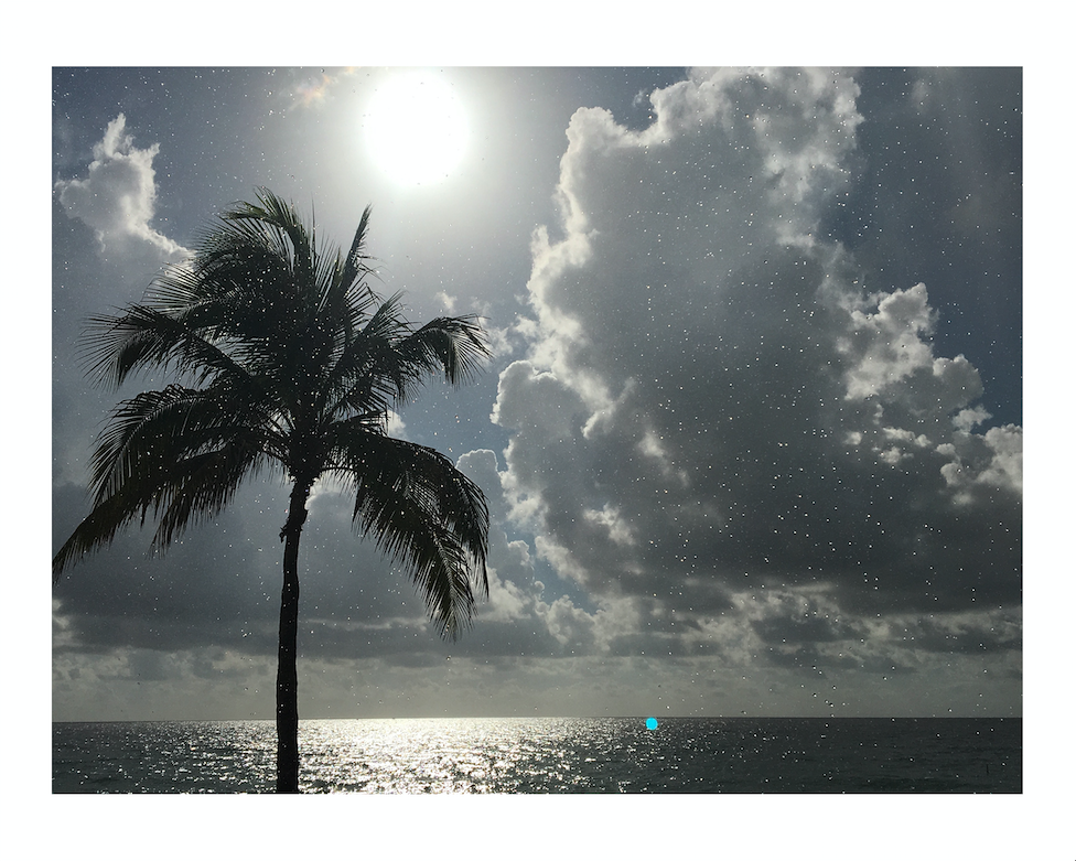 3E991D33-3FCC-45B6-9C80-77047C7BAD49