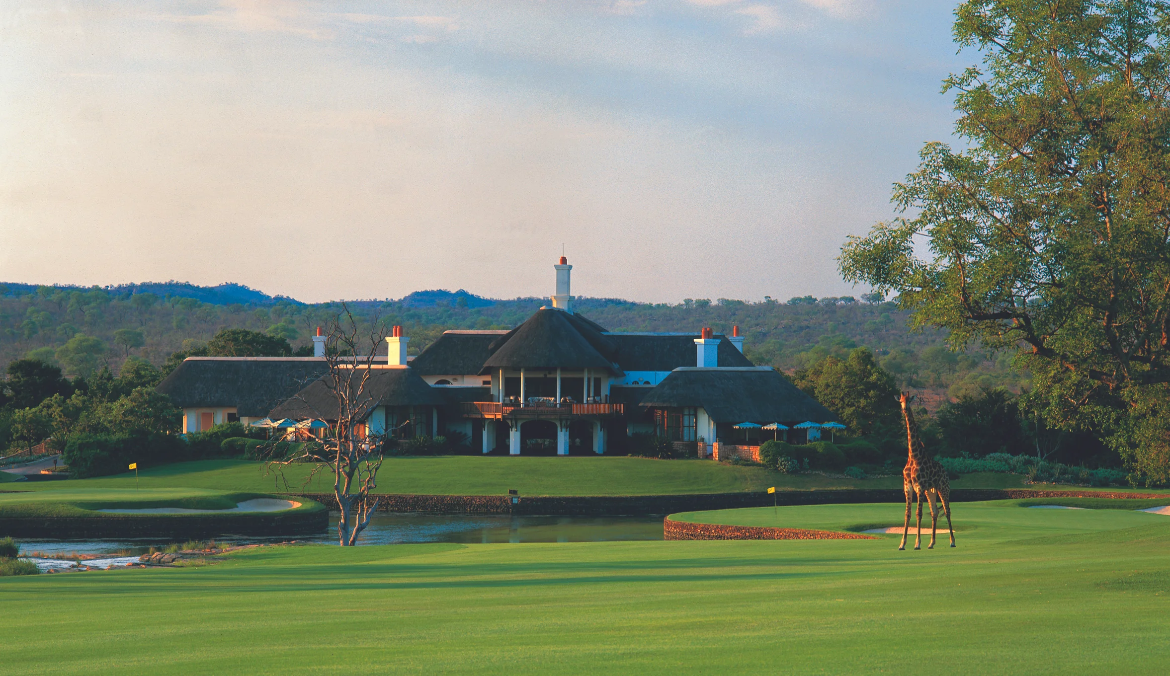 leopard creek 18tha.jpg