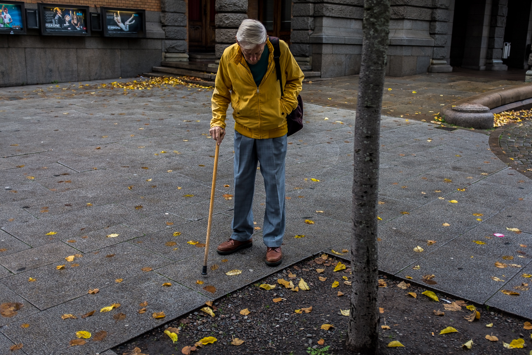 DSCF8817.jpg
