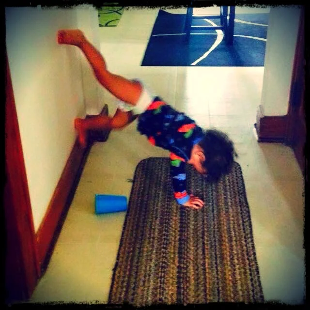 &nbsp; &nbsp; &nbsp; &nbsp; &nbsp; &nbsp; &nbsp; &nbsp;(My baby boy. Energetic, furniture climber, rowdy, cuddly, &nbsp; &nbsp; &nbsp; &nbsp; &nbsp; &nbsp; &nbsp; &nbsp; &nbsp; &nbsp; &nbsp; &nbsp; &nbsp; &nbsp; &nbsp; &nbsp; &nbsp; &nbsp; &nbsp; &n…