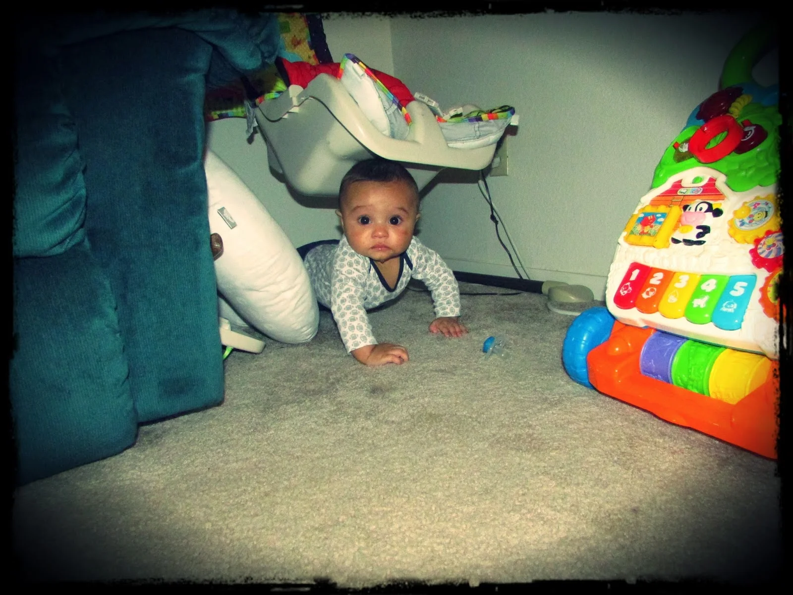 Crawled himself right into the corner!