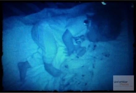 a day in the life3.jpg