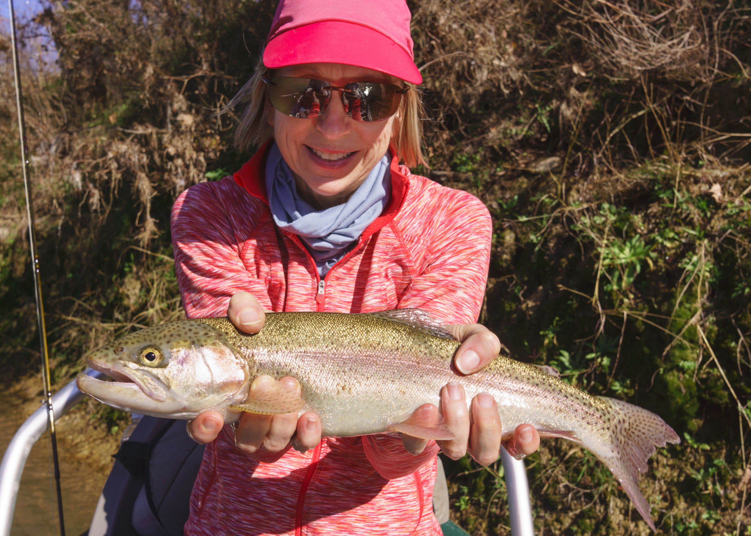 Trout of the Day