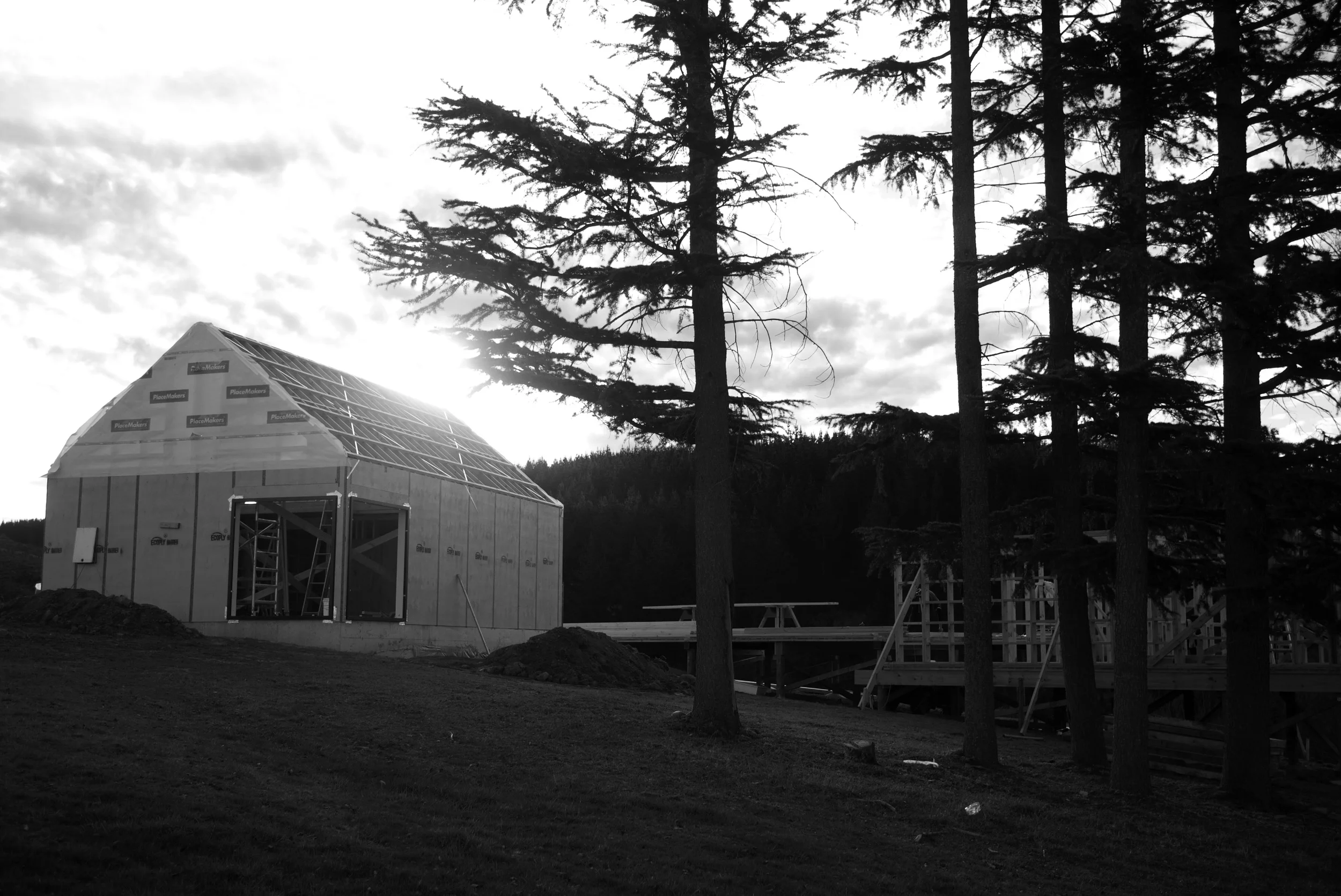 P1070771.jpg