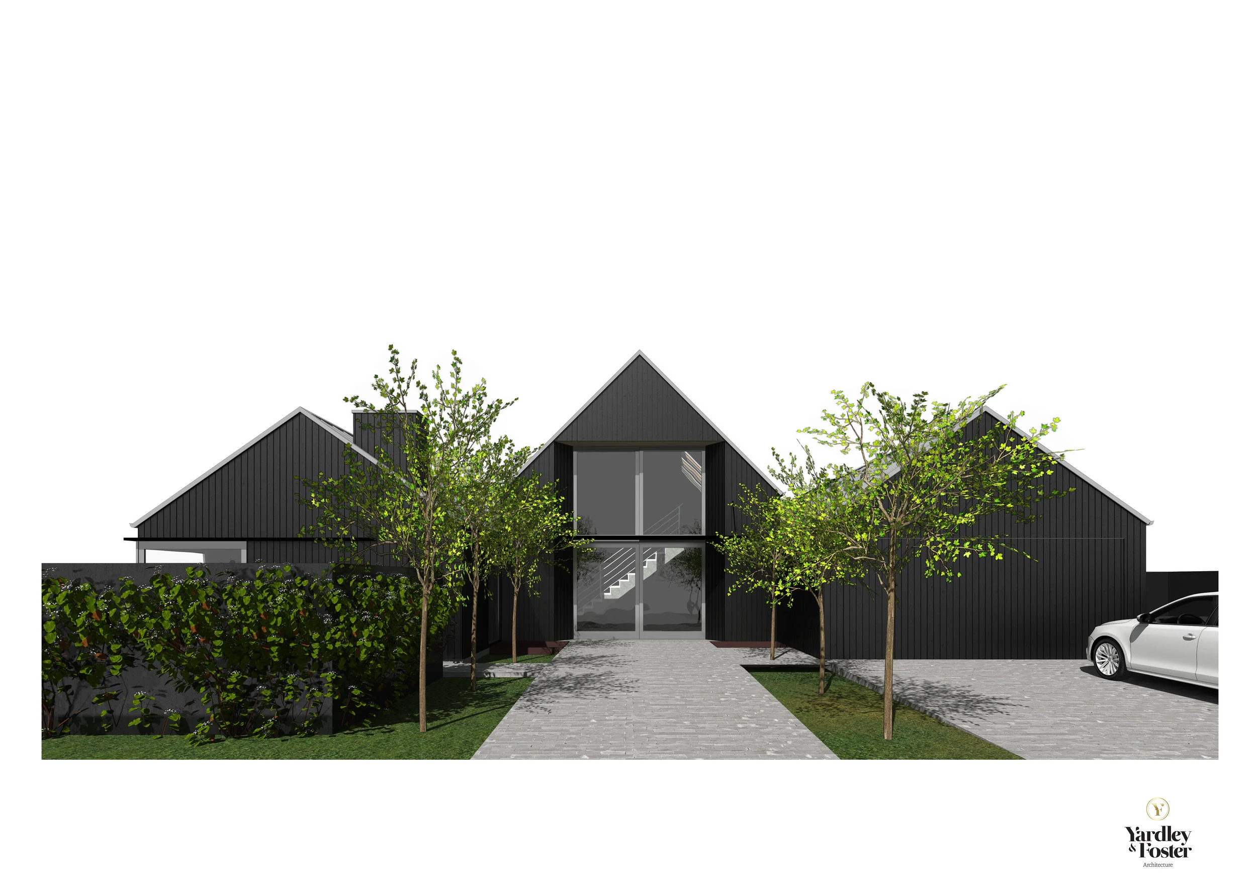 KearnsBlackCedar1.jpg