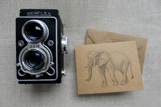 elephant_stationery
