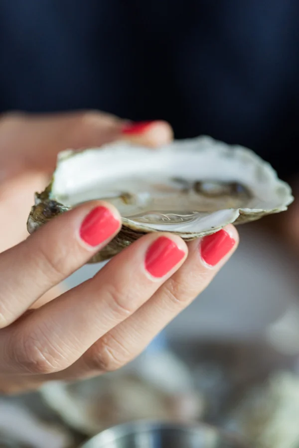 Closeup of shelled oyster