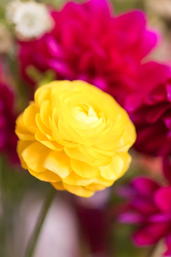 Flowers in The Meadow, West Village boutique