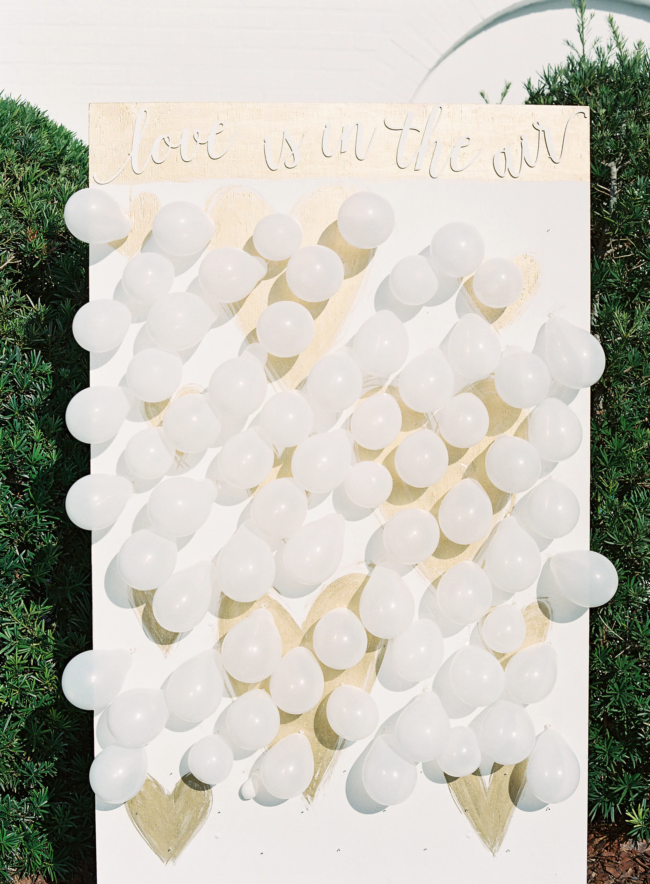 Fourteen-Forty-JustinDeMutiis-HowHeAsked-Stacy-Tasman-Florida-Wedding-12.jpg
