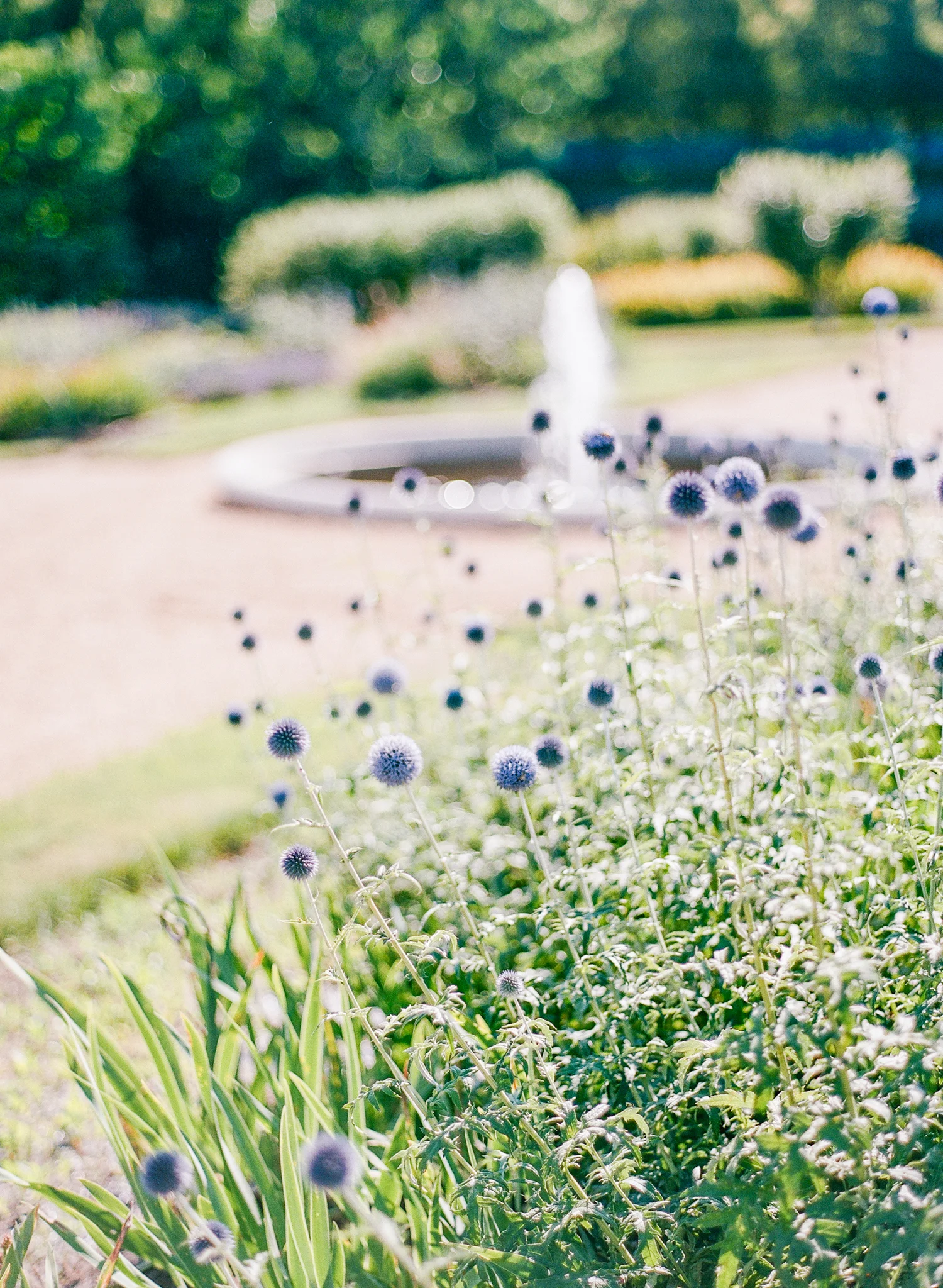 Fourteen-Forty-Rebecca-Yale-Photography-France-Wedding-1 - (1).jpg