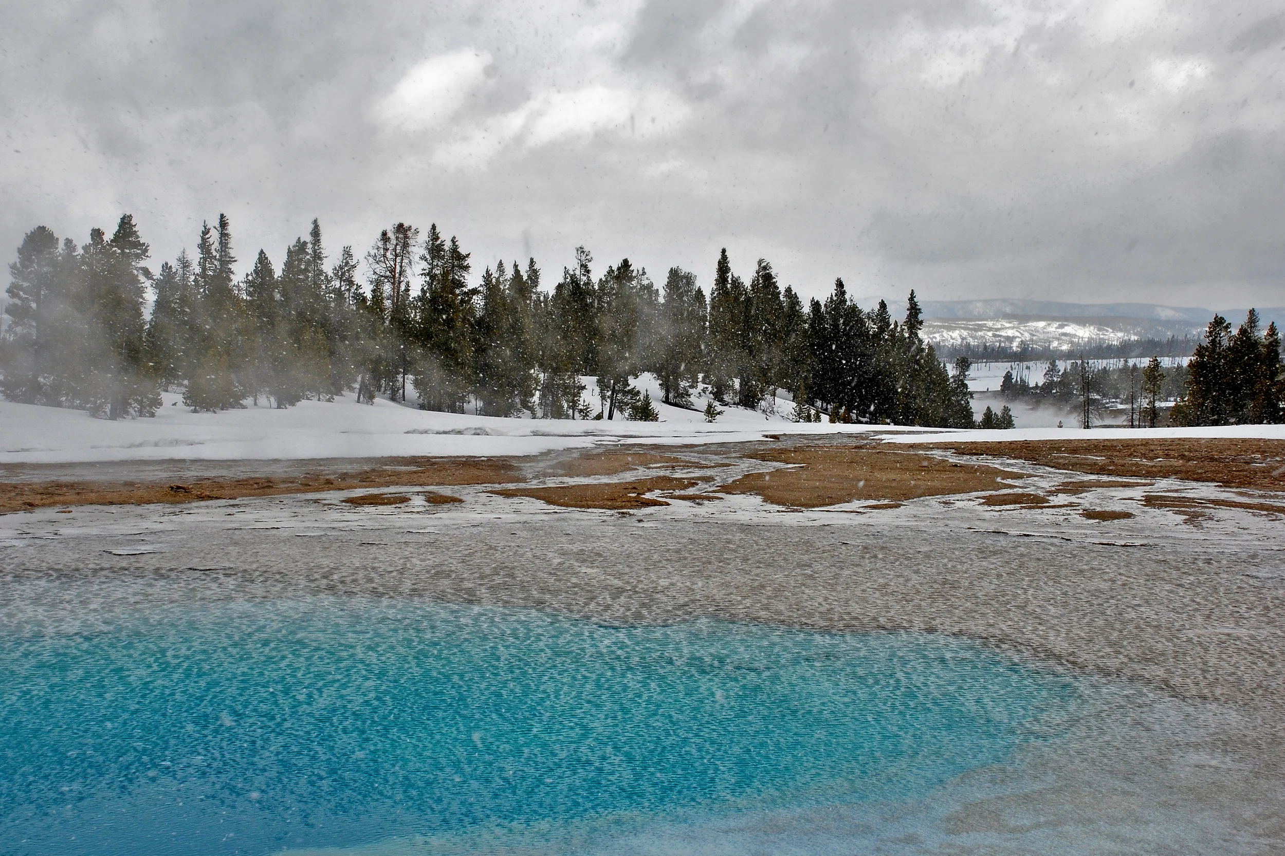 Winter in Yellowstone.jpg