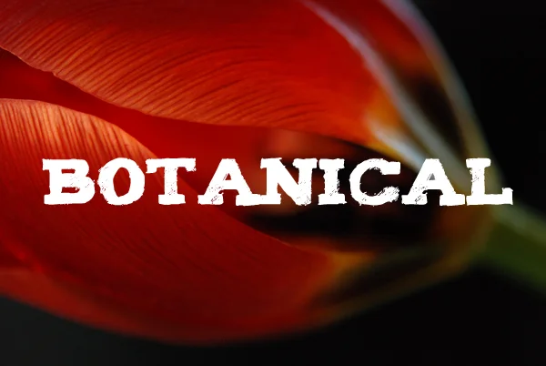 botanical portfolio THUMB.jpg