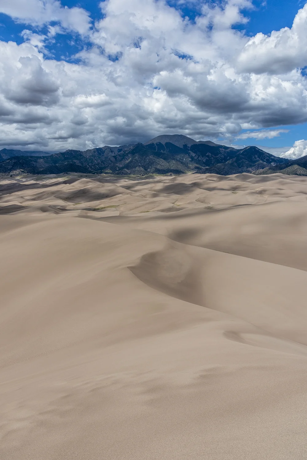 2018-06 CCT D Great Sand Dunes (564) FIX.jpg