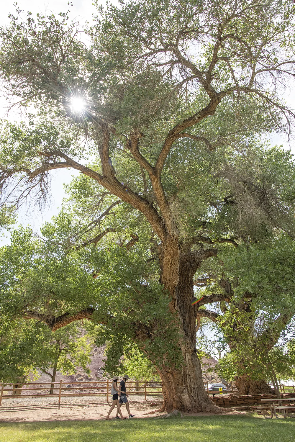 2018-06 CCT Capitol Reef (22) FIX.jpg