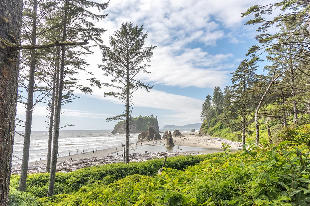 2018-06 CCT Ruby Beach (173) FIX.jpg