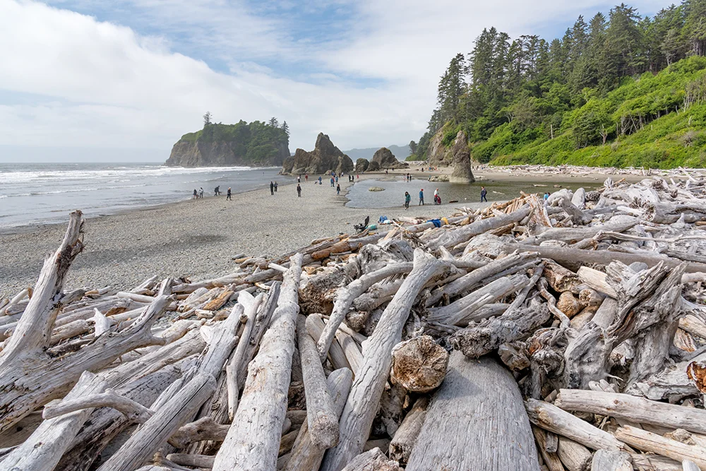 2018-06 CCT Ruby Beach (19) FIX.jpg