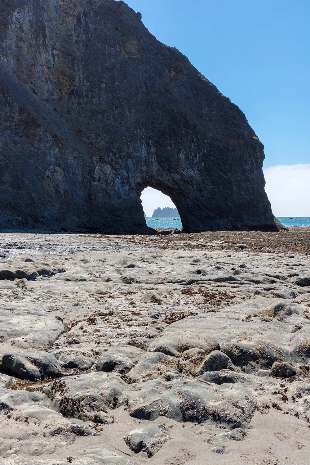 2018-06 CCT Rialto Beach (68) FIX.jpg