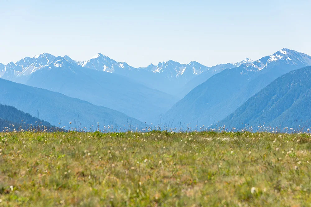 2018-06 CCT Hurricane Ridge (50) FIX.jpg