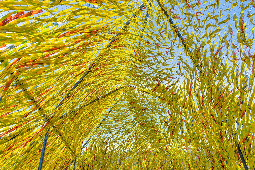 Line Roof Garden, Musee de la Civilisation, lovely installation art by Coryn Kempster, Julia Jamrozik