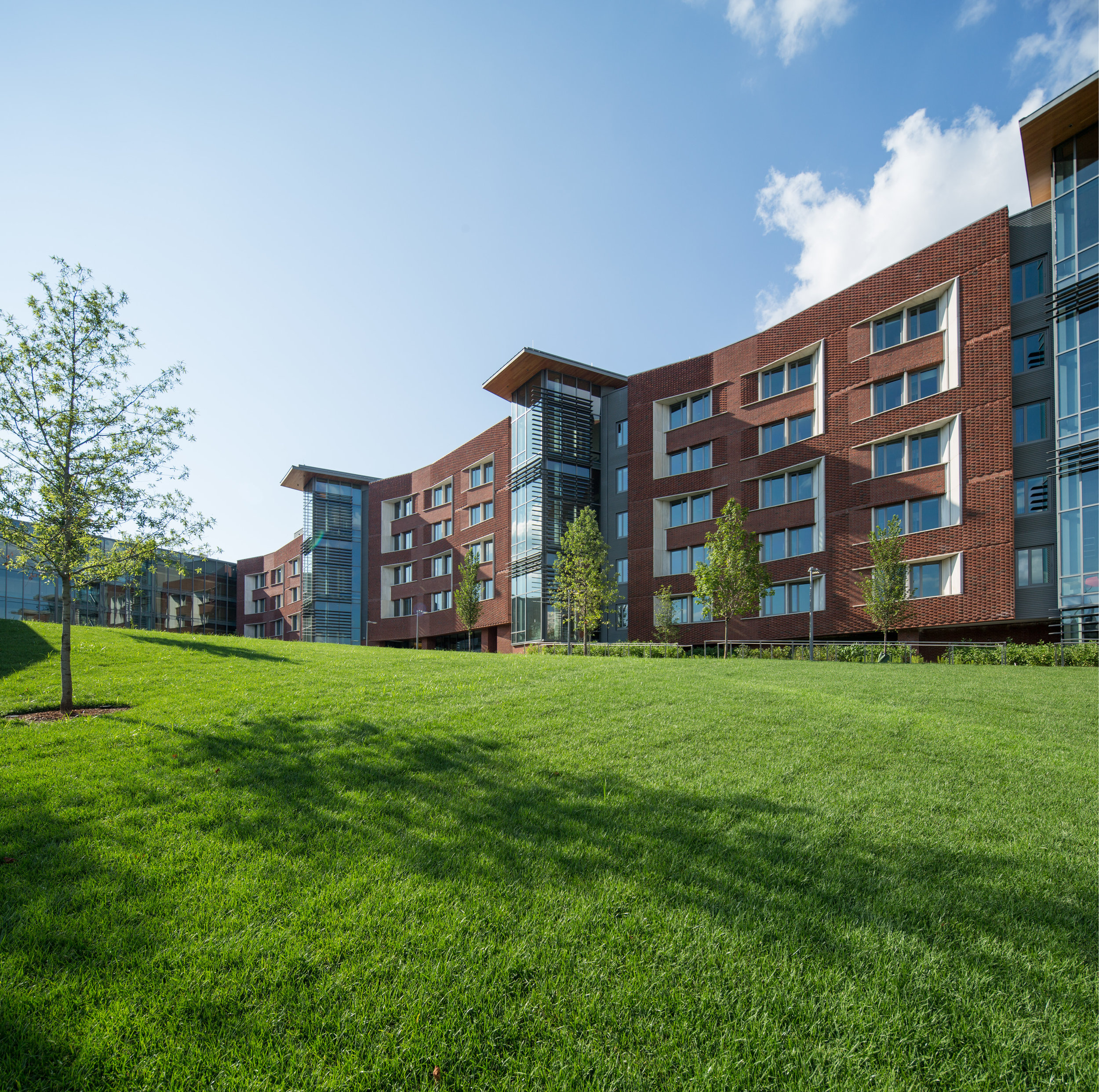 The publicly accessible “lifted lawn” rises up to offer an open invitation to all.