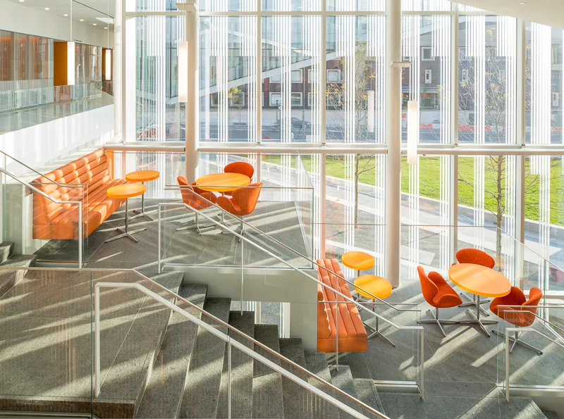 Color, light - even shadow - are the photographer’s palette