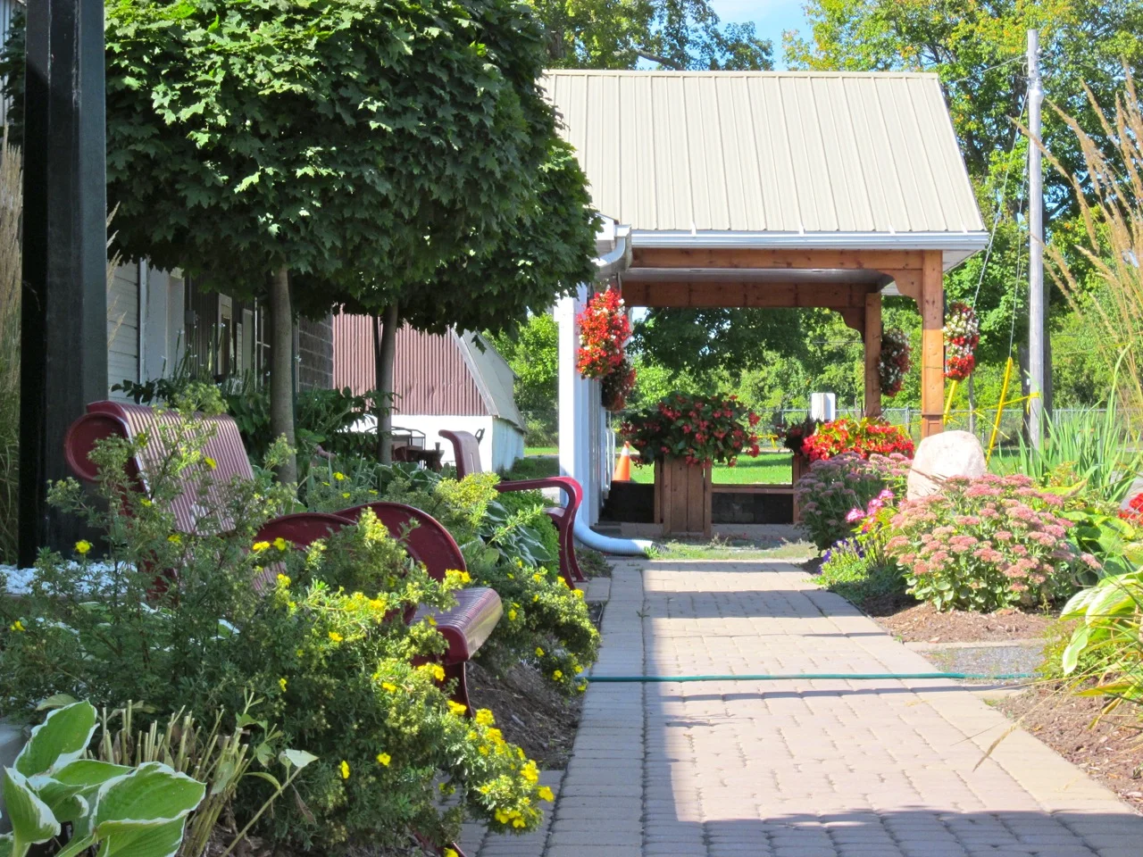 High summer at Farmtown Park