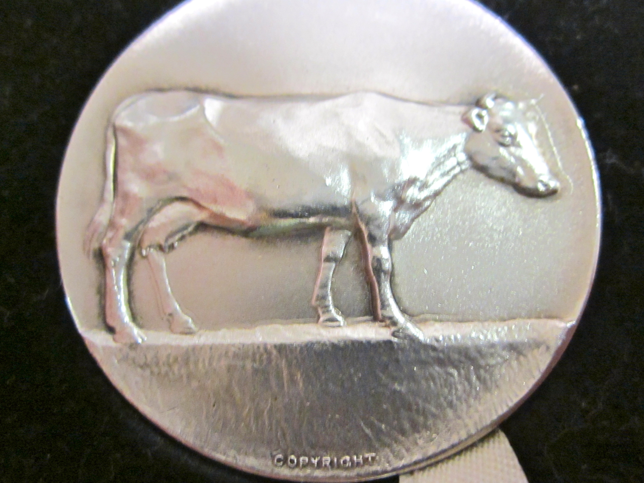 Silver Medal